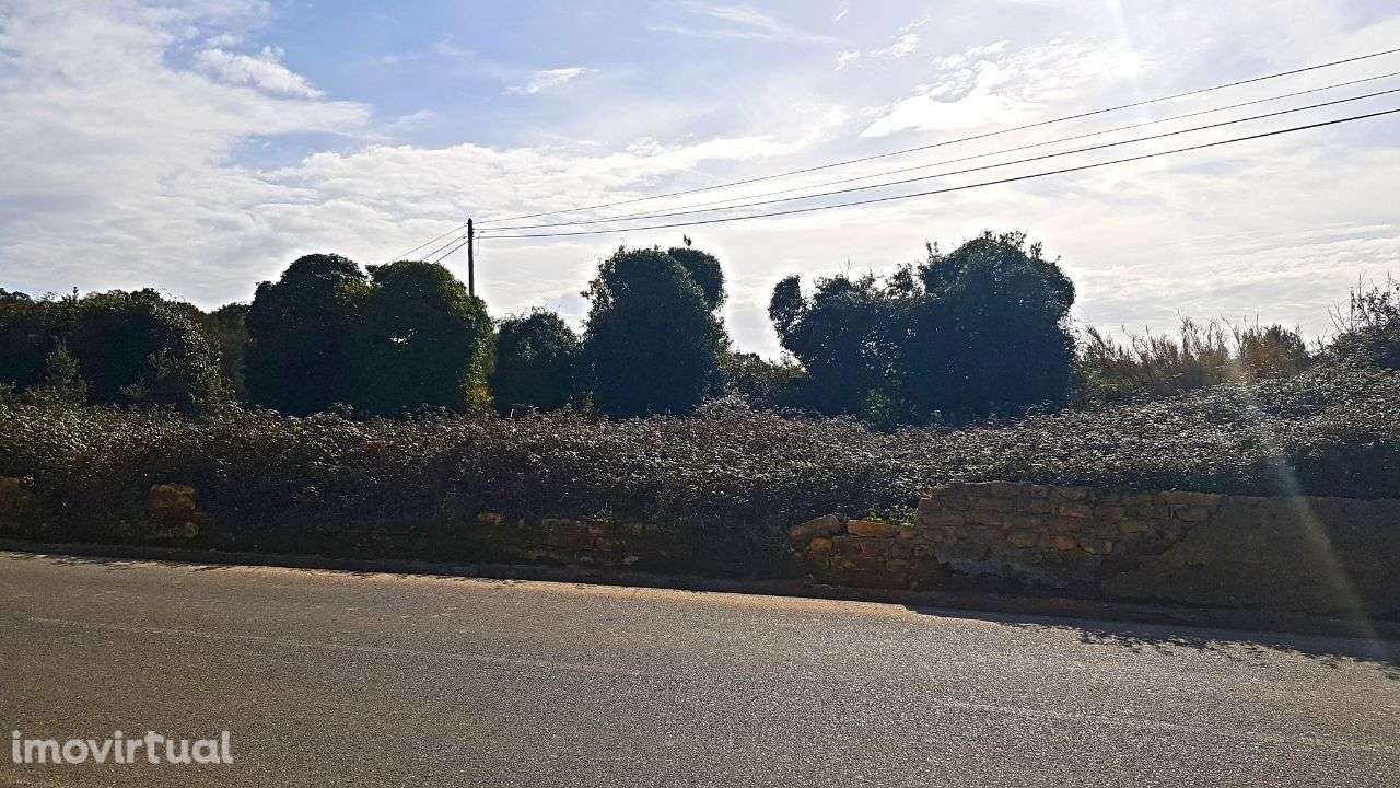 Quinta na Bairrada - Grande imagem: 5/22