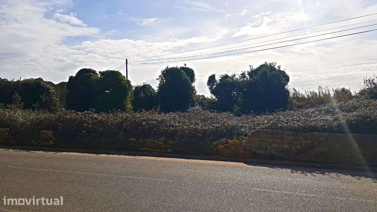 Quinta na Bairrada - Grande imagem: 5/22