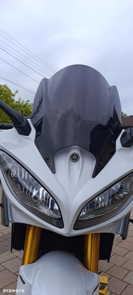 Yamaha FZ8 - 18