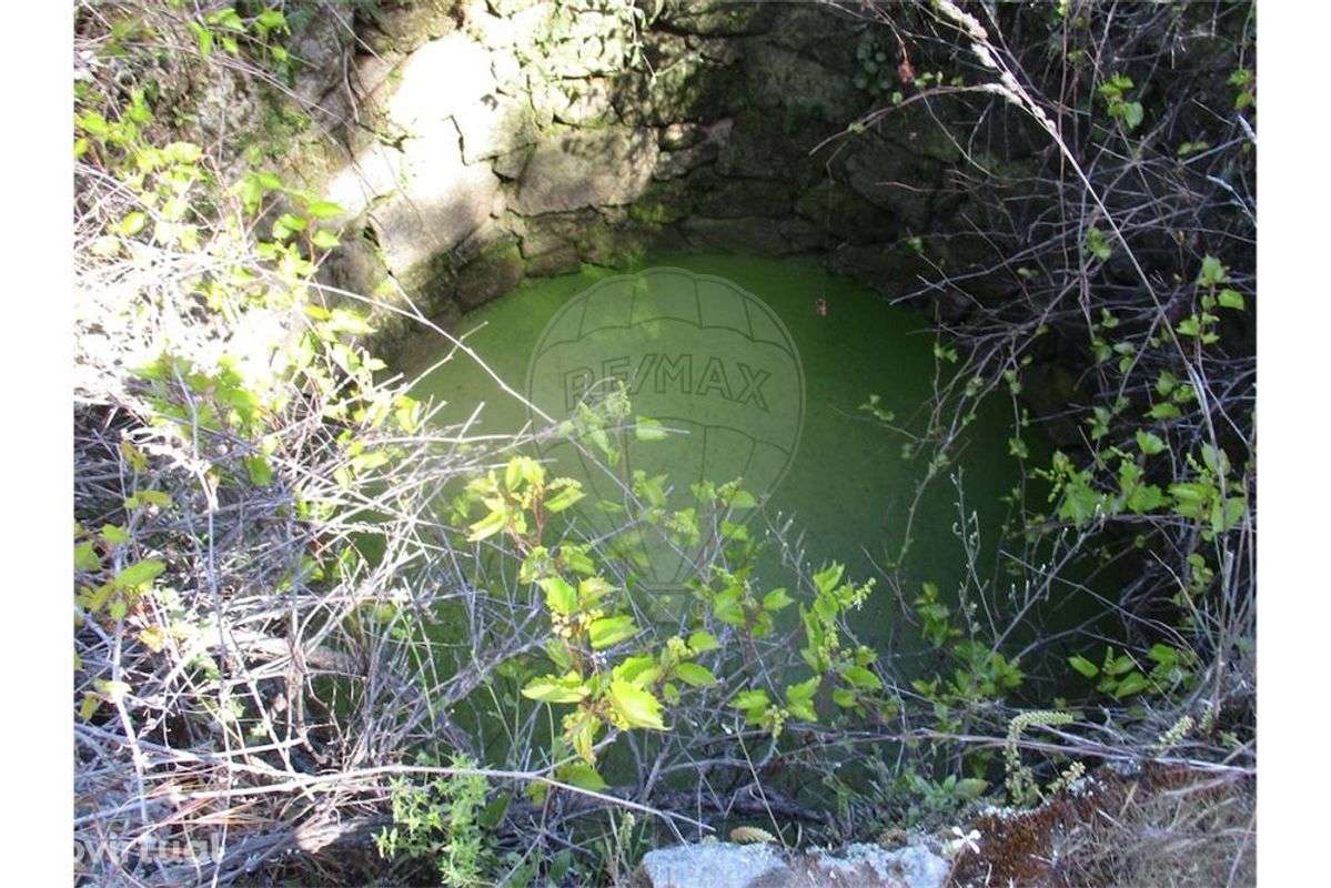 Quinta T0 para venda - Grande imagem: 5/9