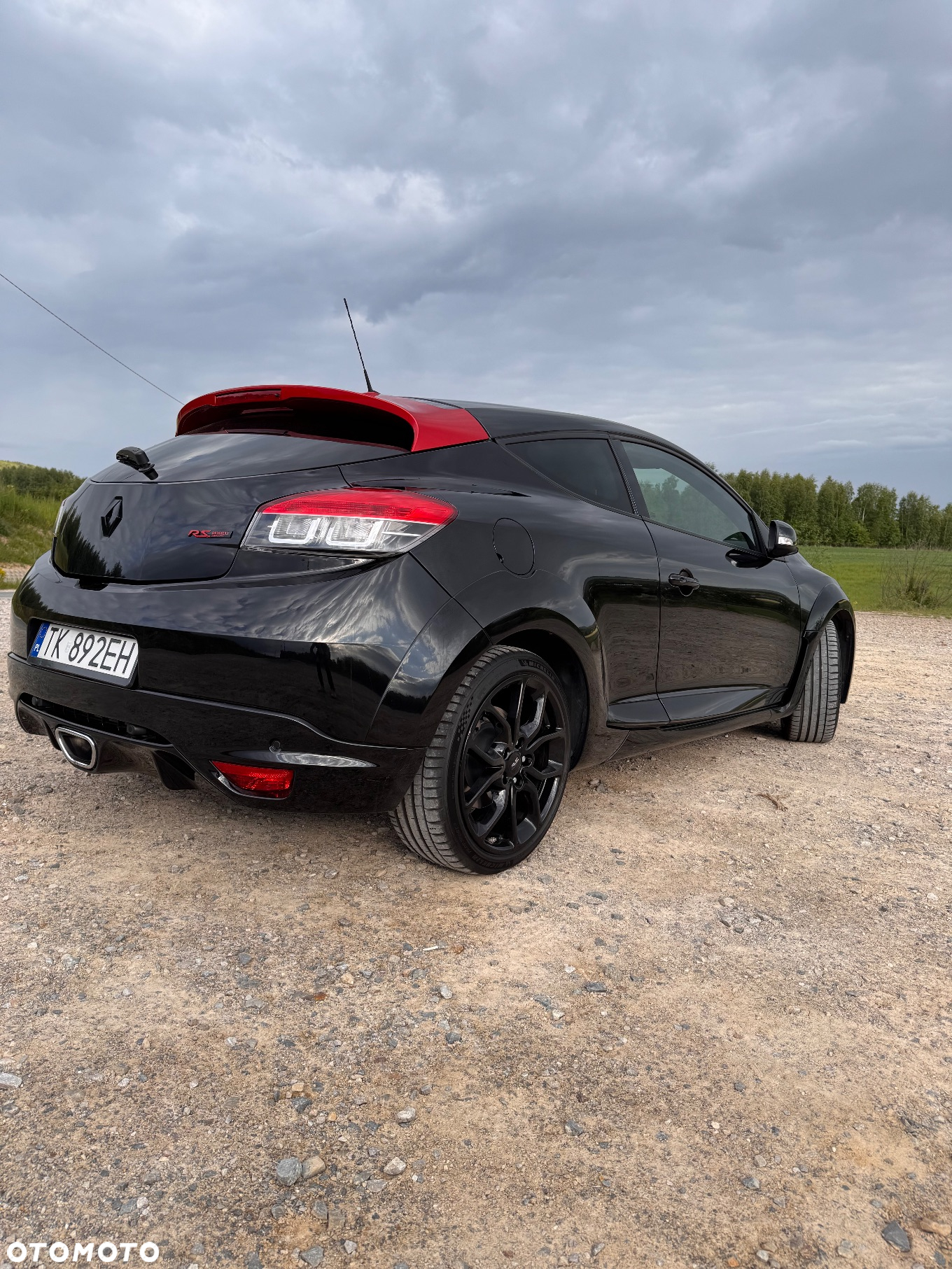 Renault Megane 2.0 16V R.S - 9