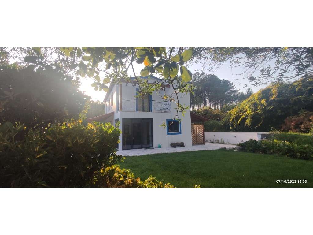 Quinta com duas moradias, anexos, diversas arvores de fruto, vinha ... - Grande imagem: 3/60