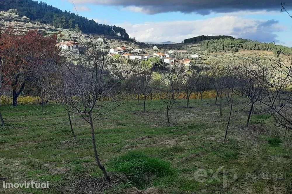 Fazenda Espetacular em Pegarinhos, Portugal - Grande imagem: 2/7