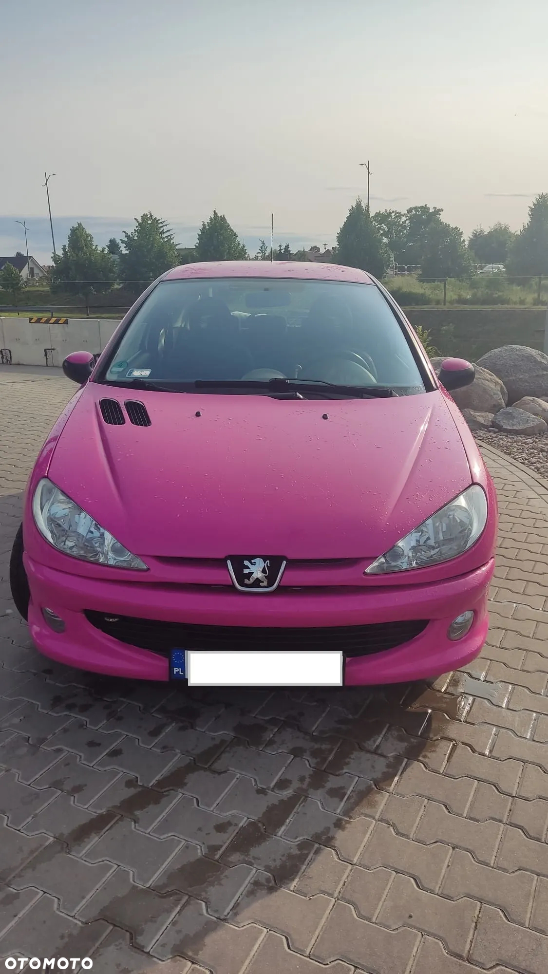 Peugeot 206 - 17