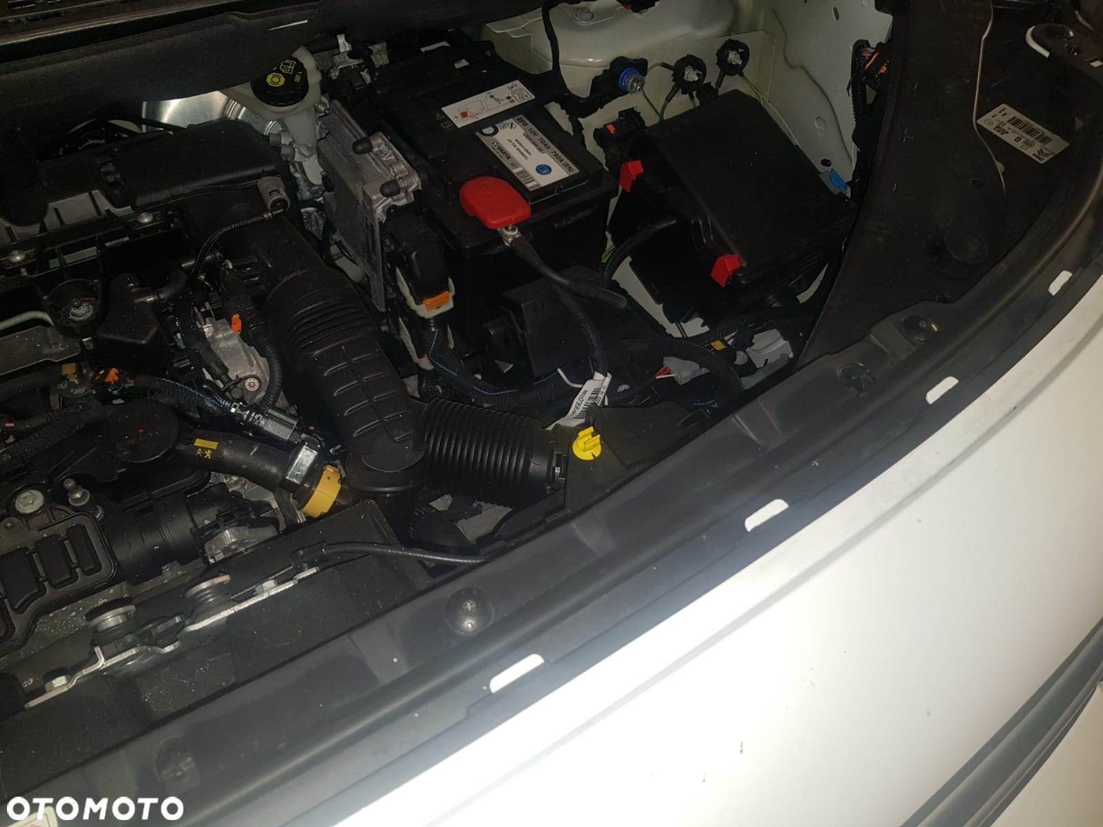Citroën Berlingo - 19