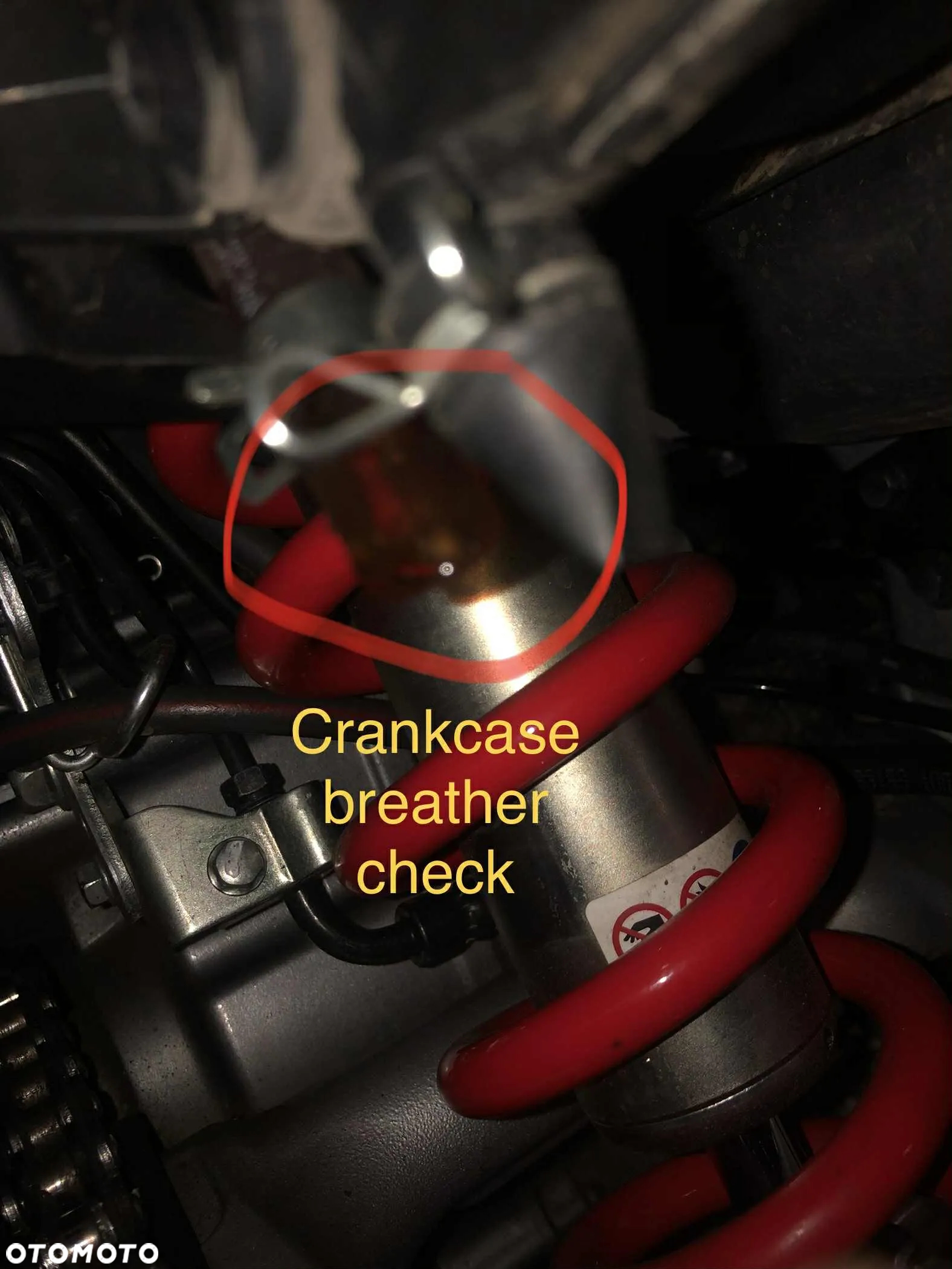 Honda CRF - 29