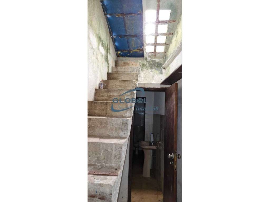 Loja Torres Novas - Grande imagem: 5/6