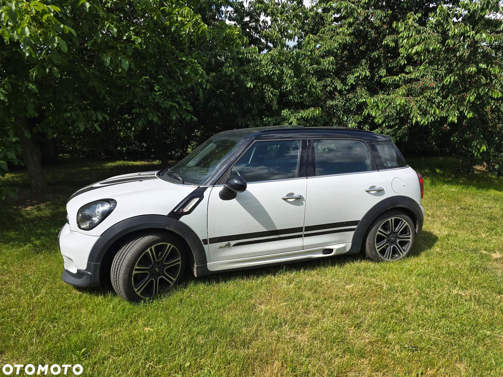 MINI Countryman - 1