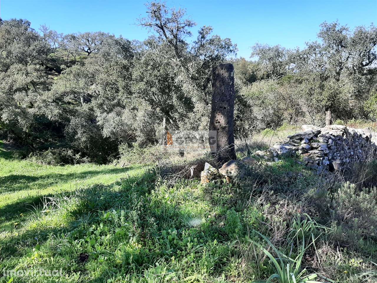 Terreno Rústico  Venda em São Barnabé,Almodôvar - Grande imagem: 3/6