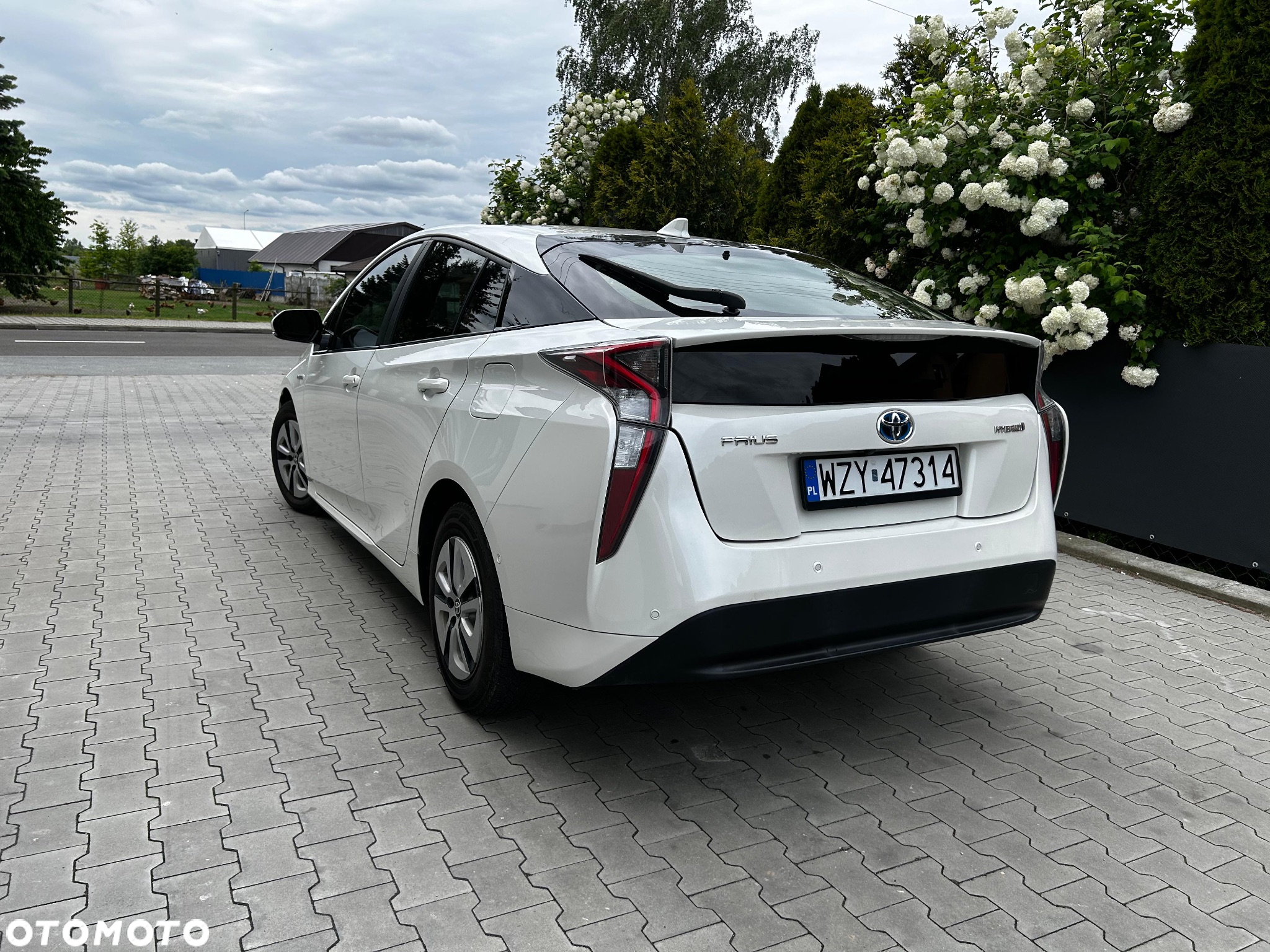 Toyota Prius - 5