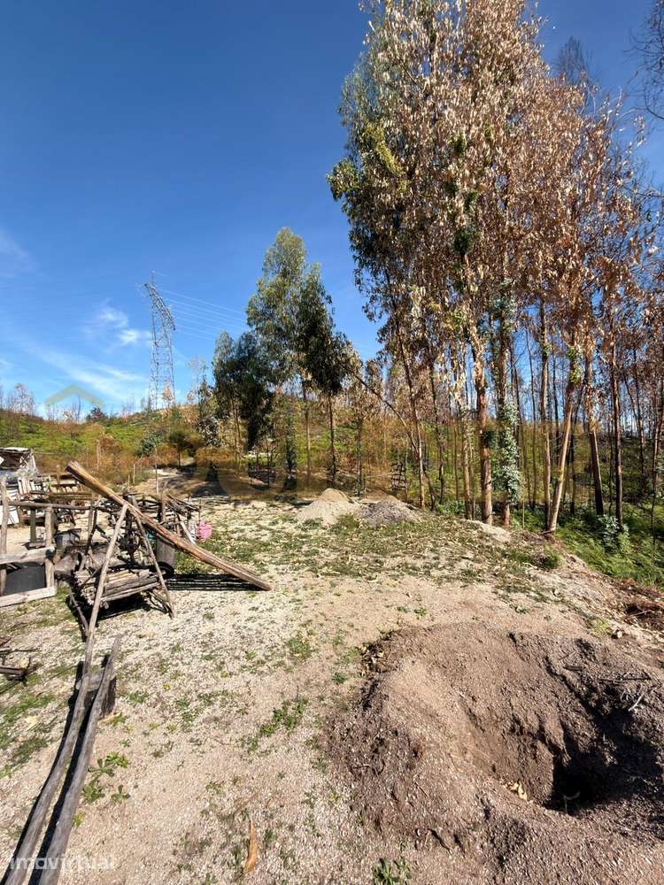 Terreno Rústico em Travassos, Póvoa de Lanhoso