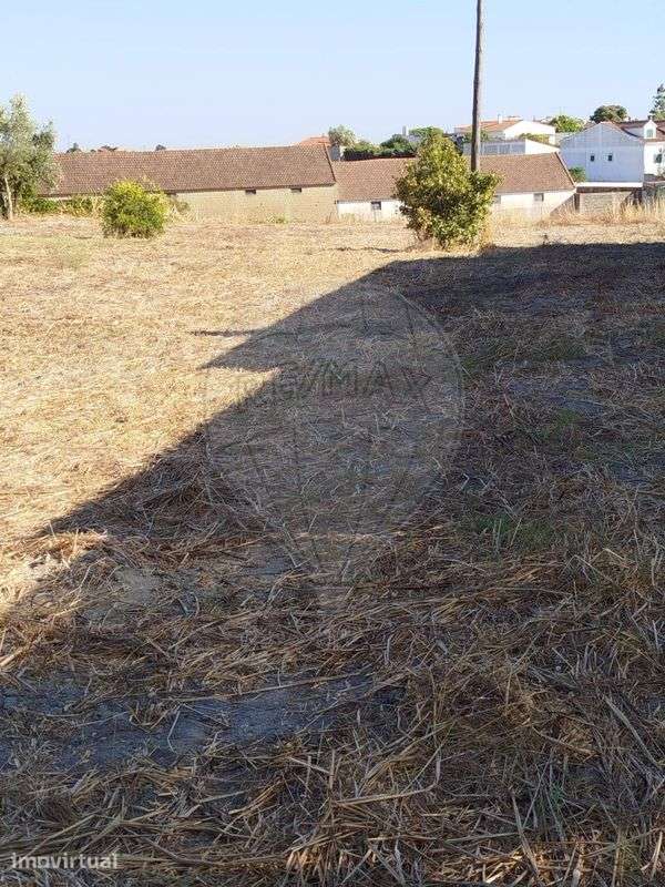 Terreno  para venda - Grande imagem: 2/12