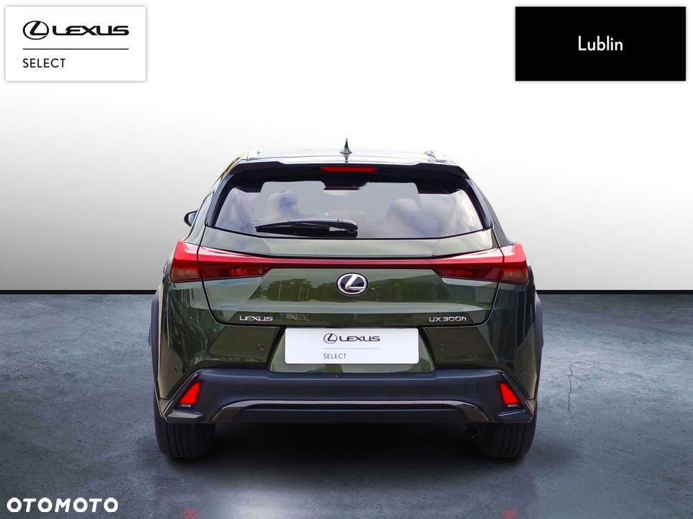 Lexus UX 250h GPF F Sport Design 2WD - 4