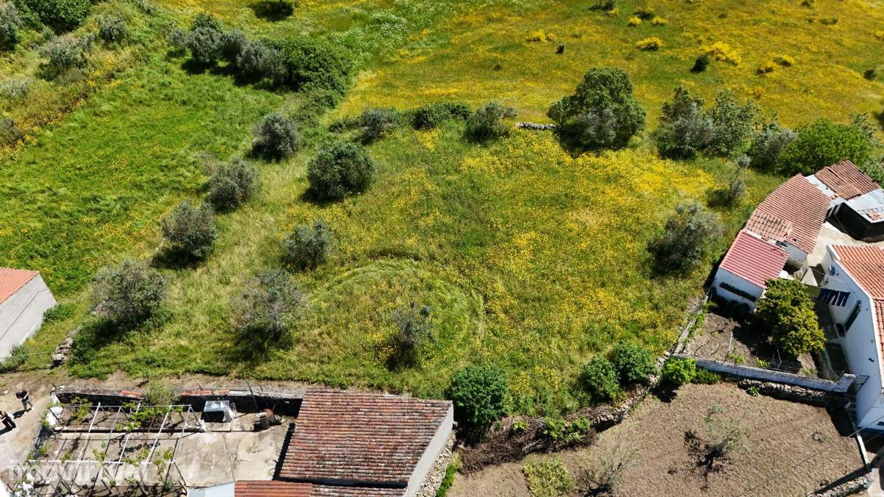 Terreno rústico, para venda, Gavião - Gavião e Atalaia – pohled 5