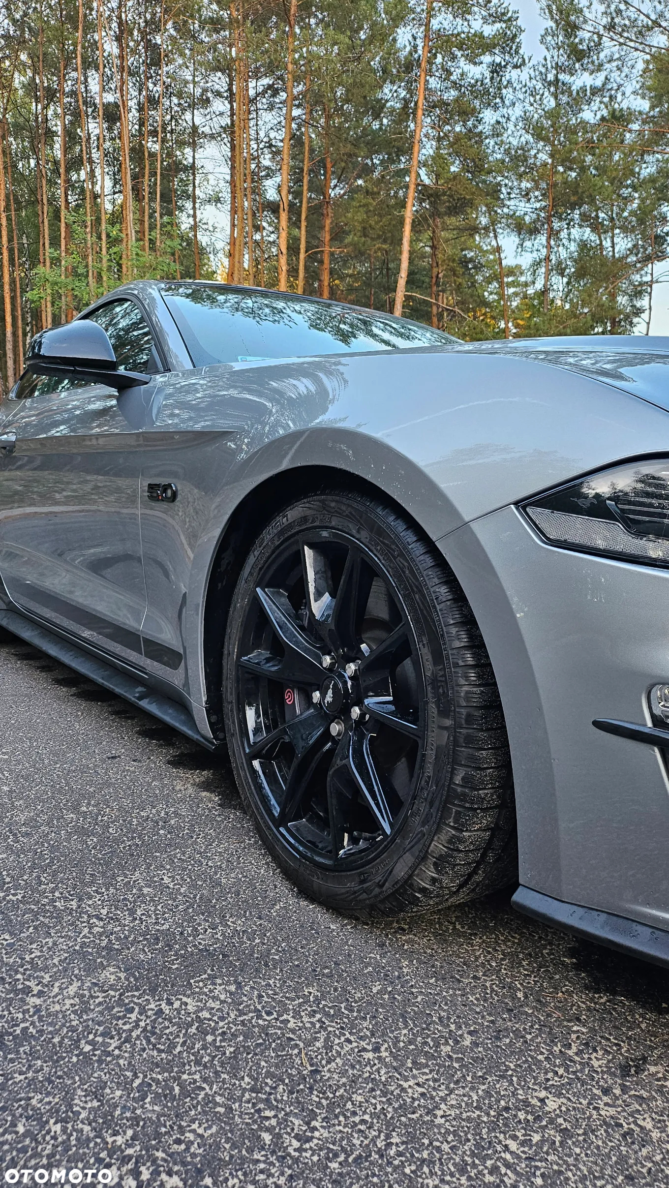 Ford Mustang 5.0 V8 GT - 13
