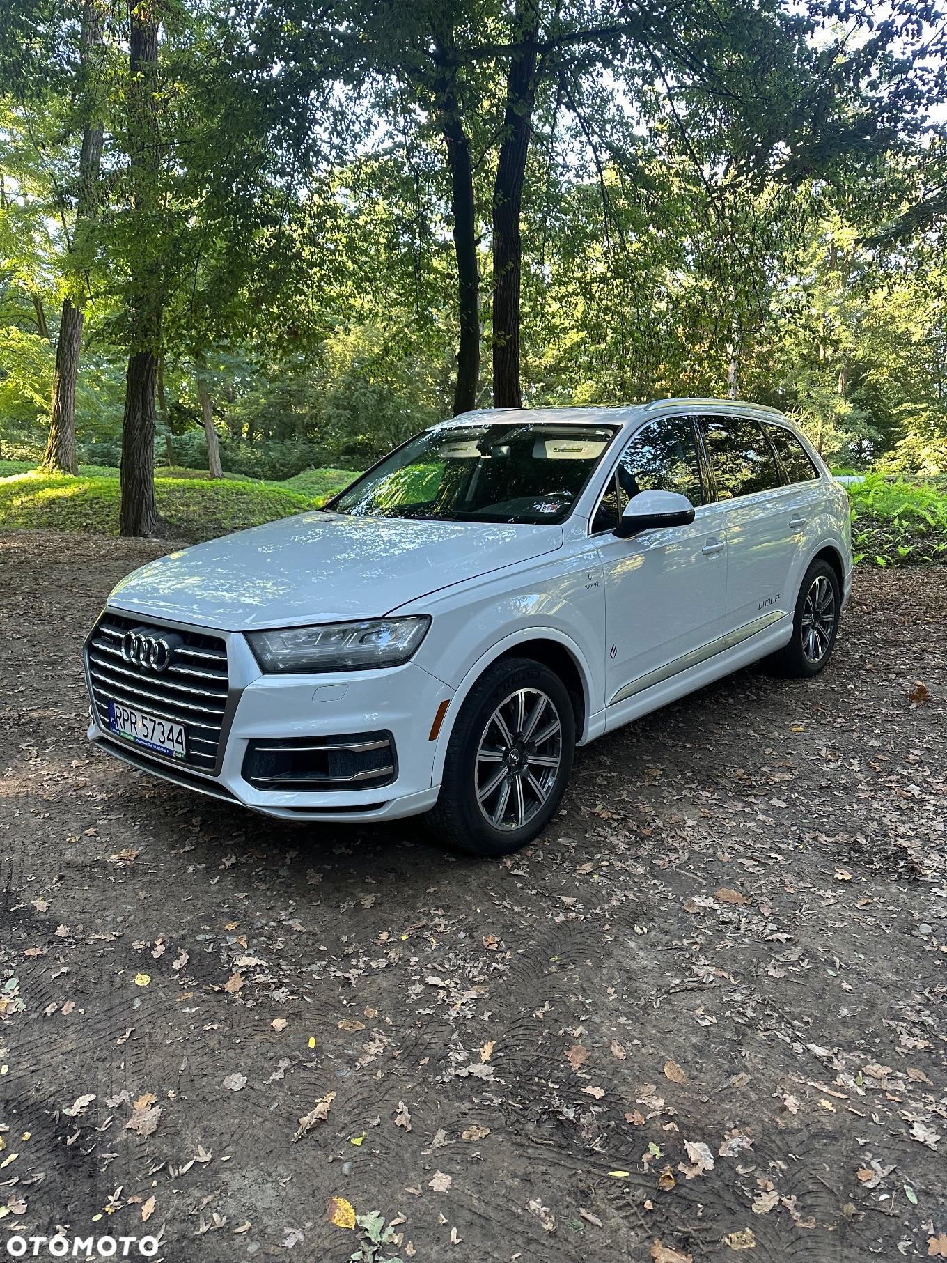 Audi Q7 3.0 TFSI Quattro Tiptronic - 13