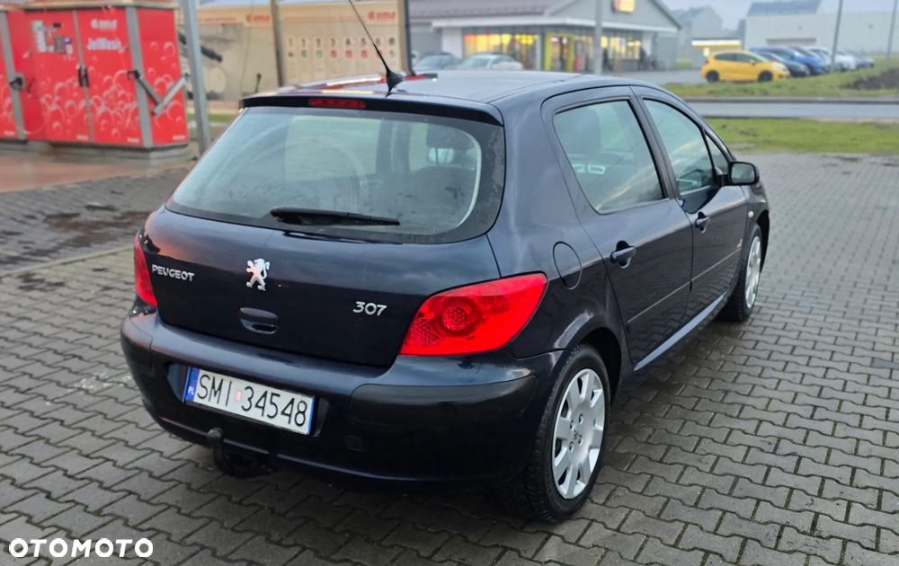 Peugeot 307 - 9
