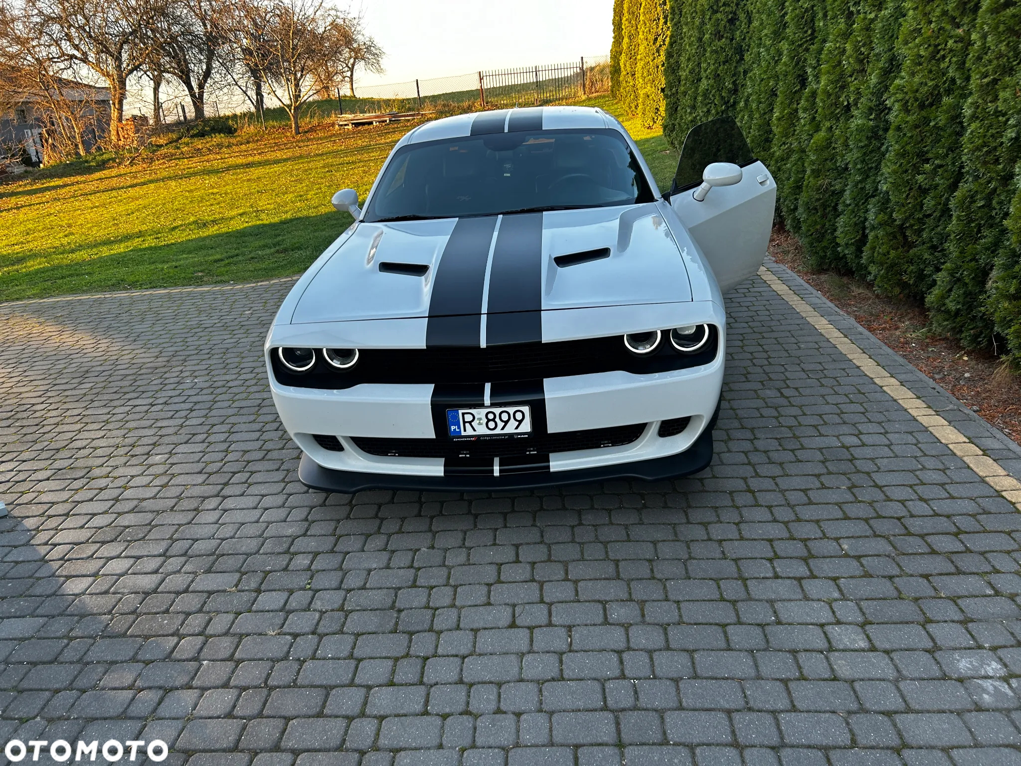 Dodge Challenger Automatik R/T Plus - 16