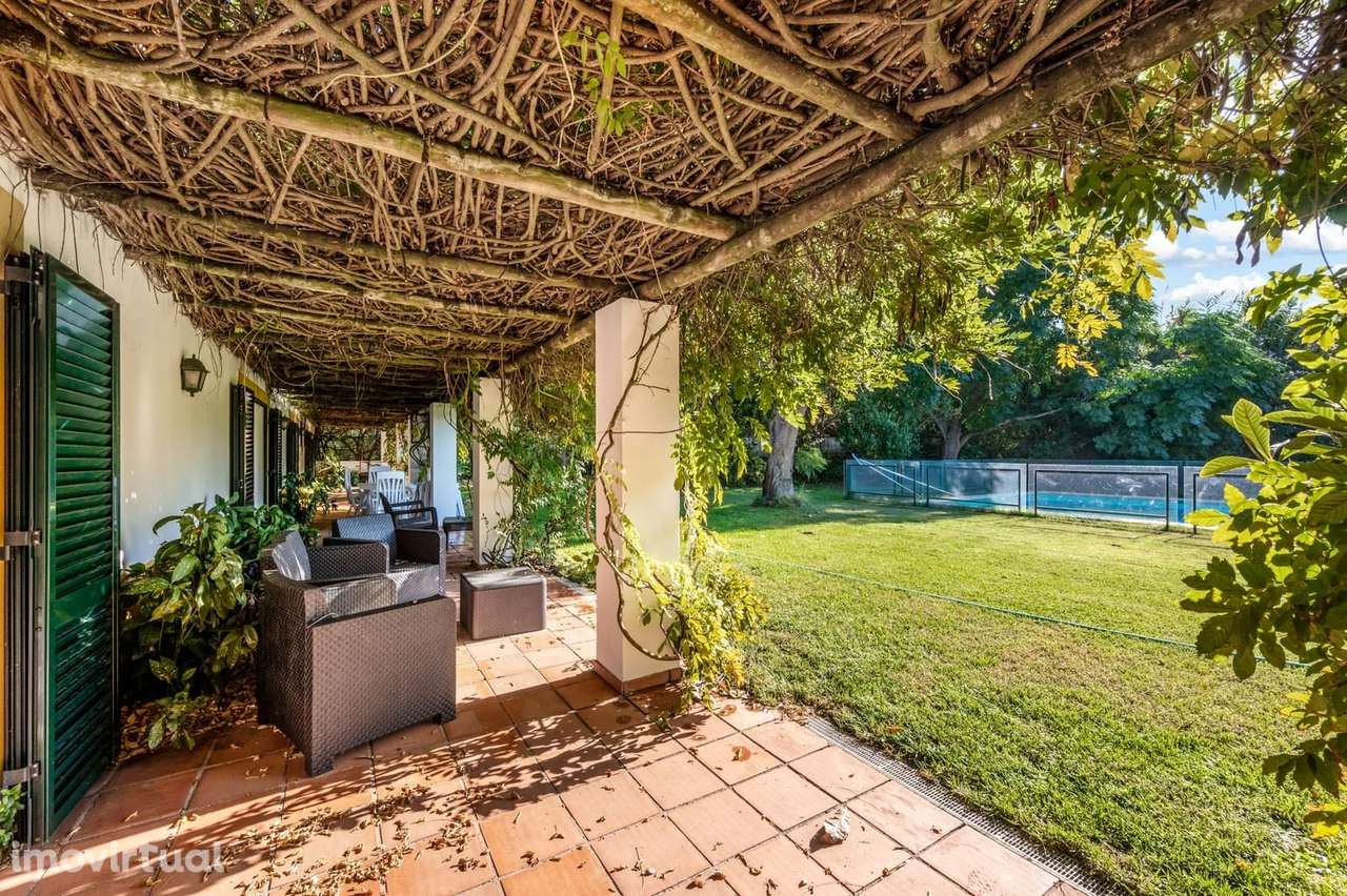 Quinta 24.8 ha, Almeirim - Grande imagem: 3/37