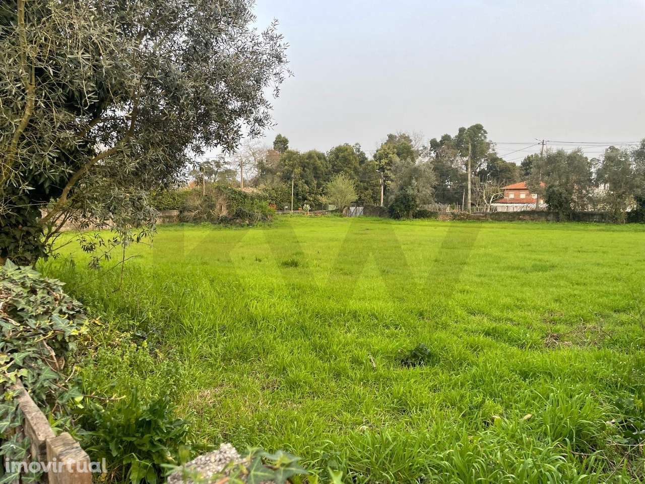 TERRENO PLANO PARA CONSTRUÇÃO EM RECARDÃES – 2.060 m2 COM DUAS FREN - Grande imagem: 4/24