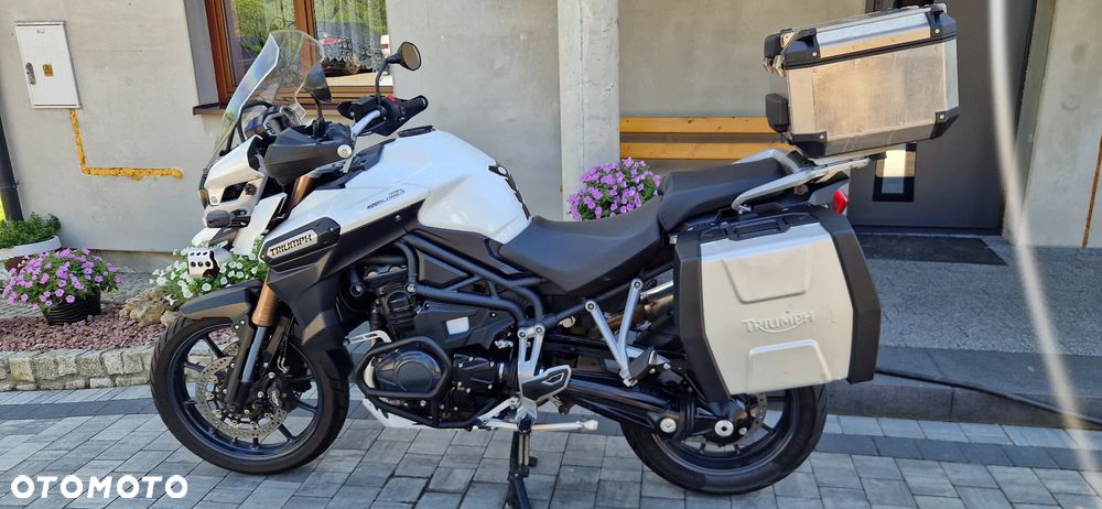 Triumph Tiger - 14