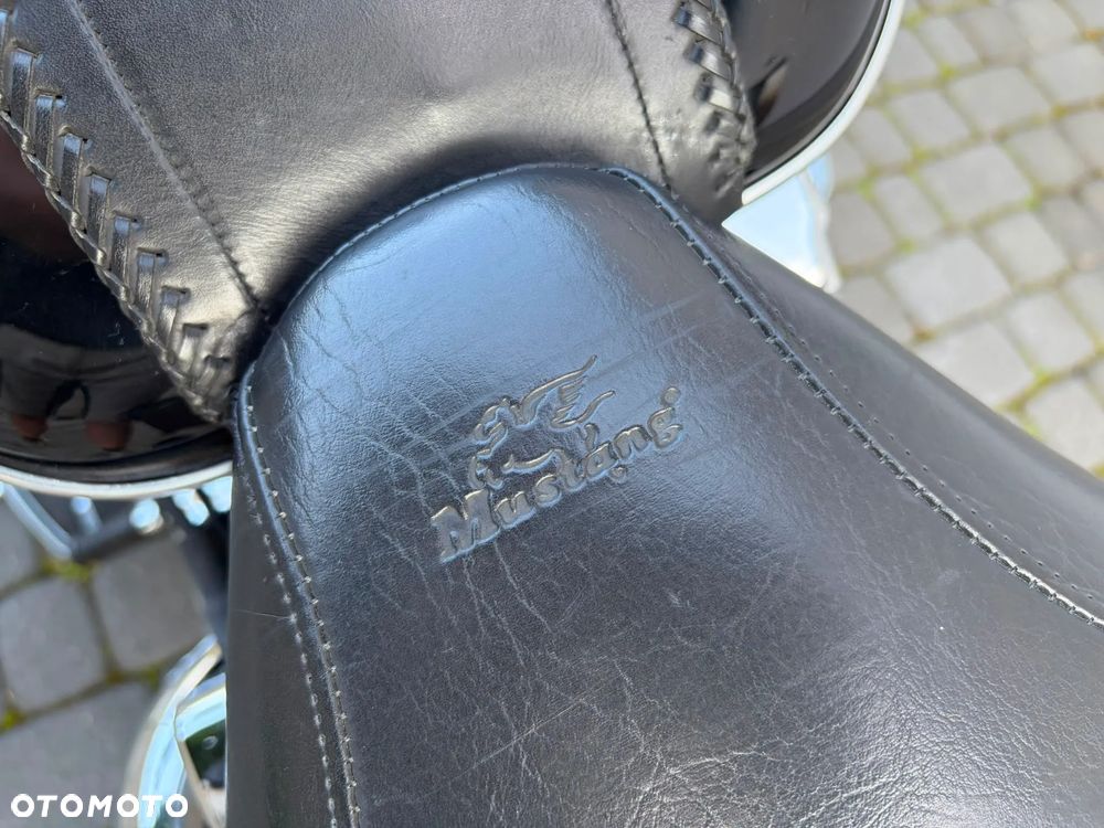 Harley-Davidson Softail Springer Classic - 6