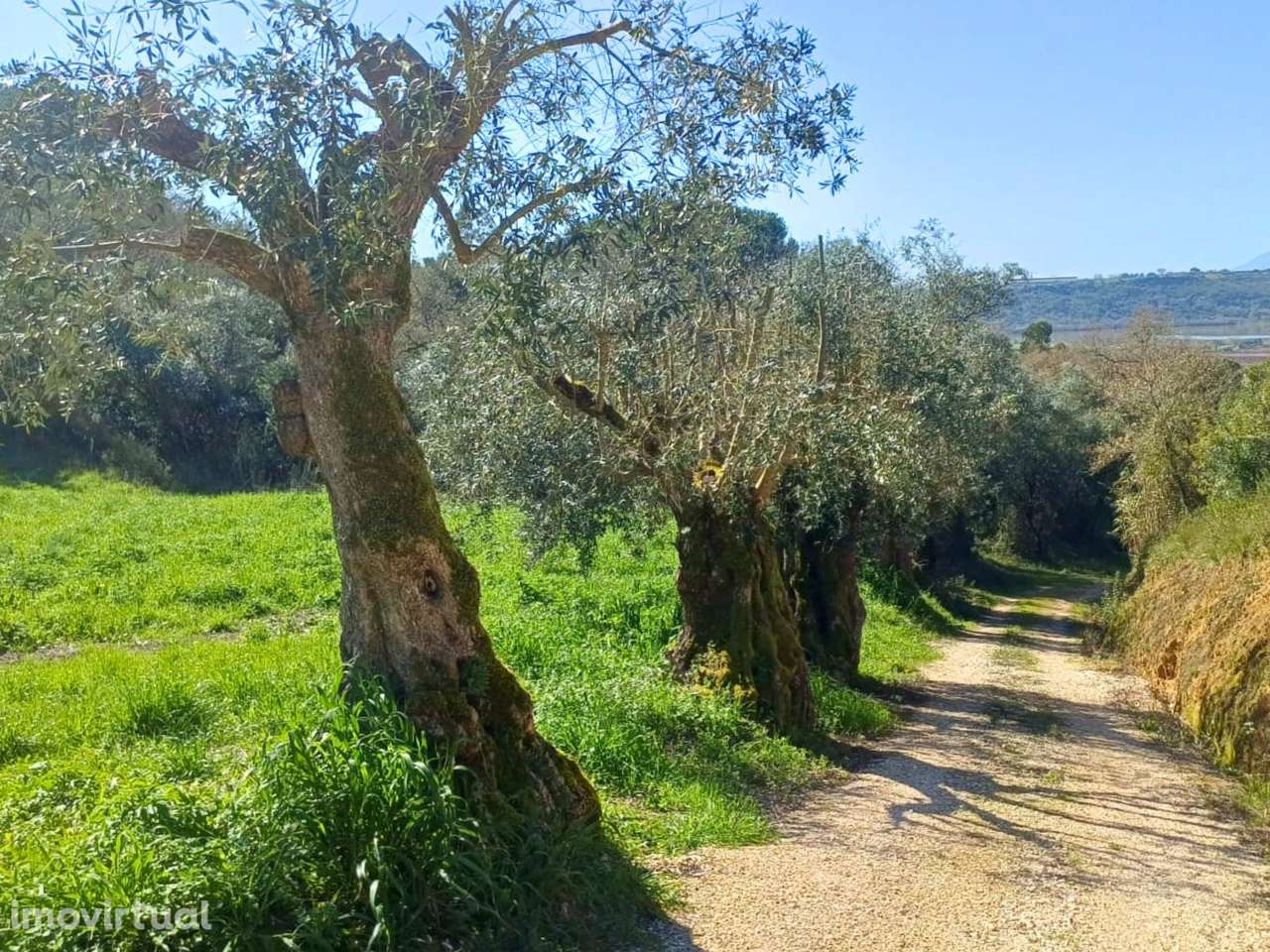 Terreno rústico para venda na Moçarria - Grande imagem: 2/9