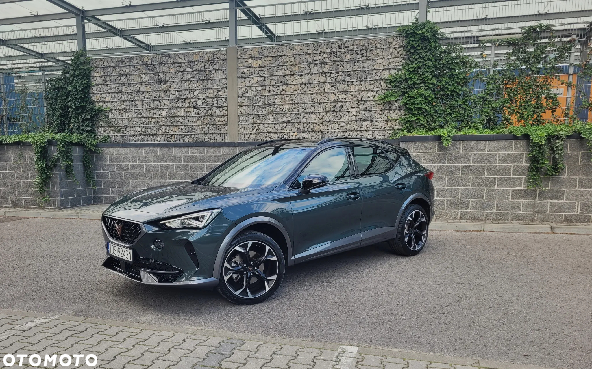 Cupra Formentor 1.5 TSI DSG Tribe Edition - 2