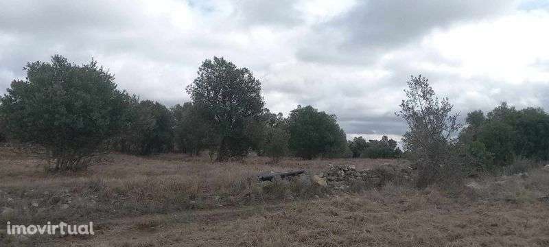 Quinta em Alenquer cabecos - Grande imagem: 5/7