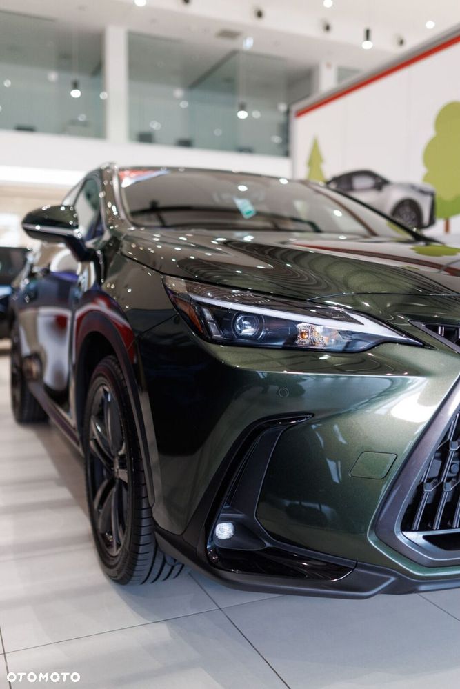 Lexus NX - 12