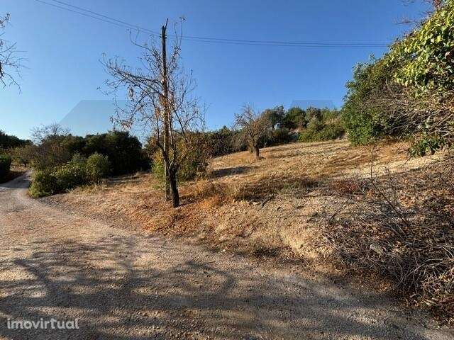Encantador Terreno Rústico com Vista Mar - Grande imagem: 3/9