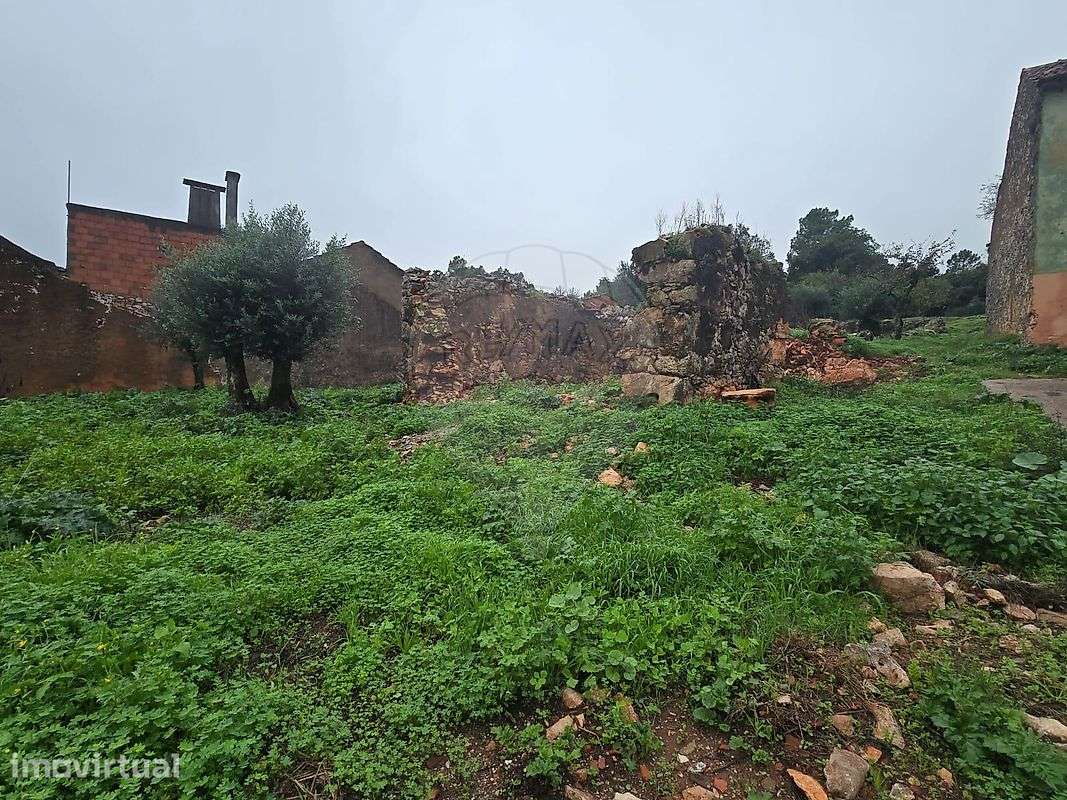Terreno  para venda - Grande imagem: 4/6