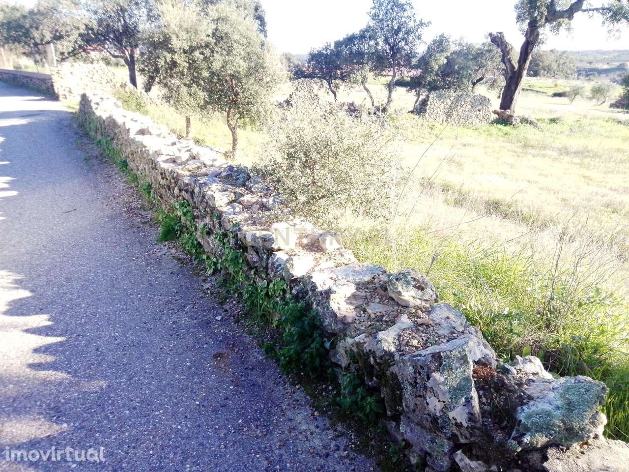Terreno Rústico em Penha Garcia, Idanha-a-Nova| Castelo Branco - Grande imagem: 4/4