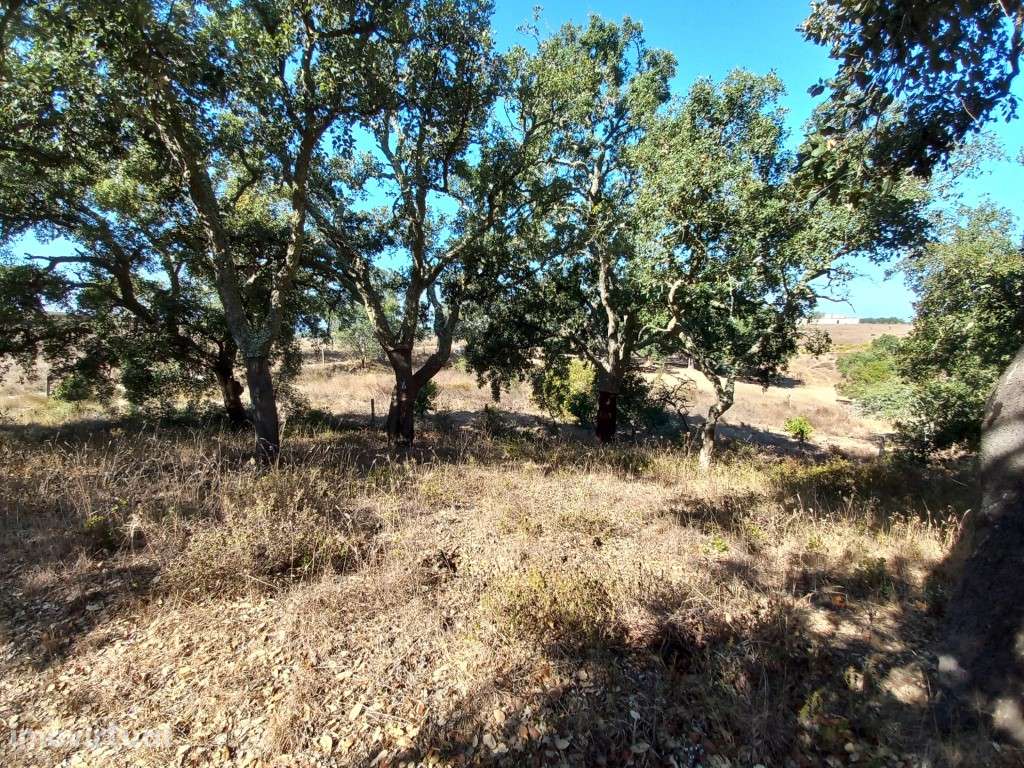 Terreno em são Francisco da Serra - Grande imagem: 2/8