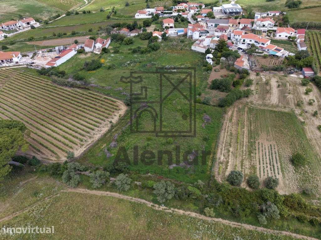 Terreno para Costrução a 5 minutos de Alenquer - Grande imagem: 3/22