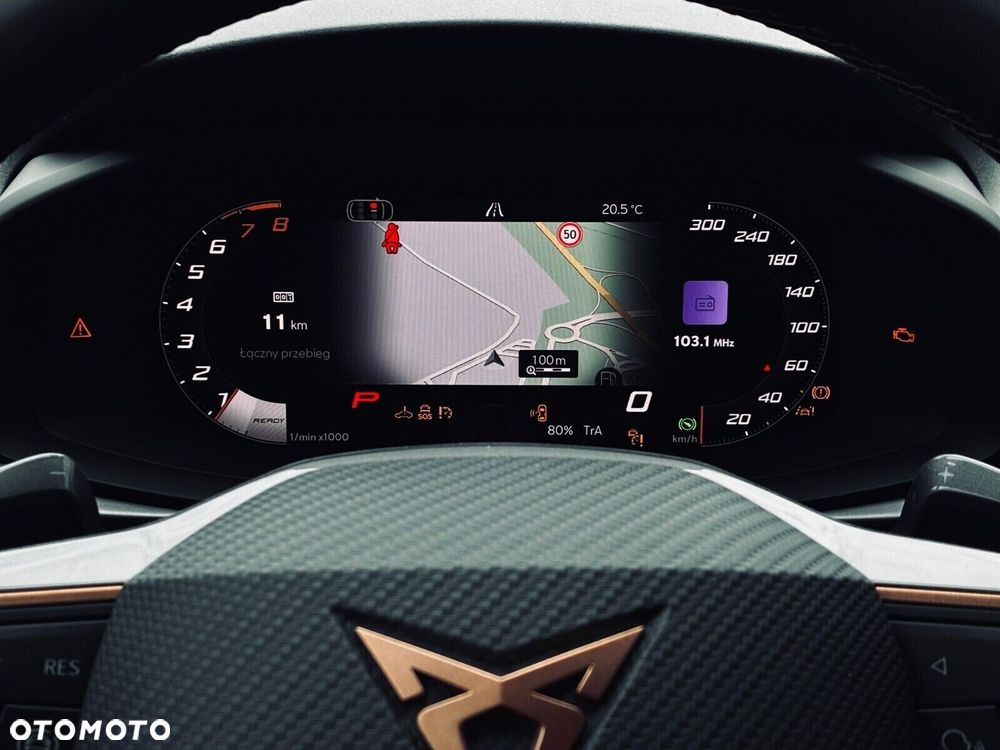 Cupra Terramar - 15