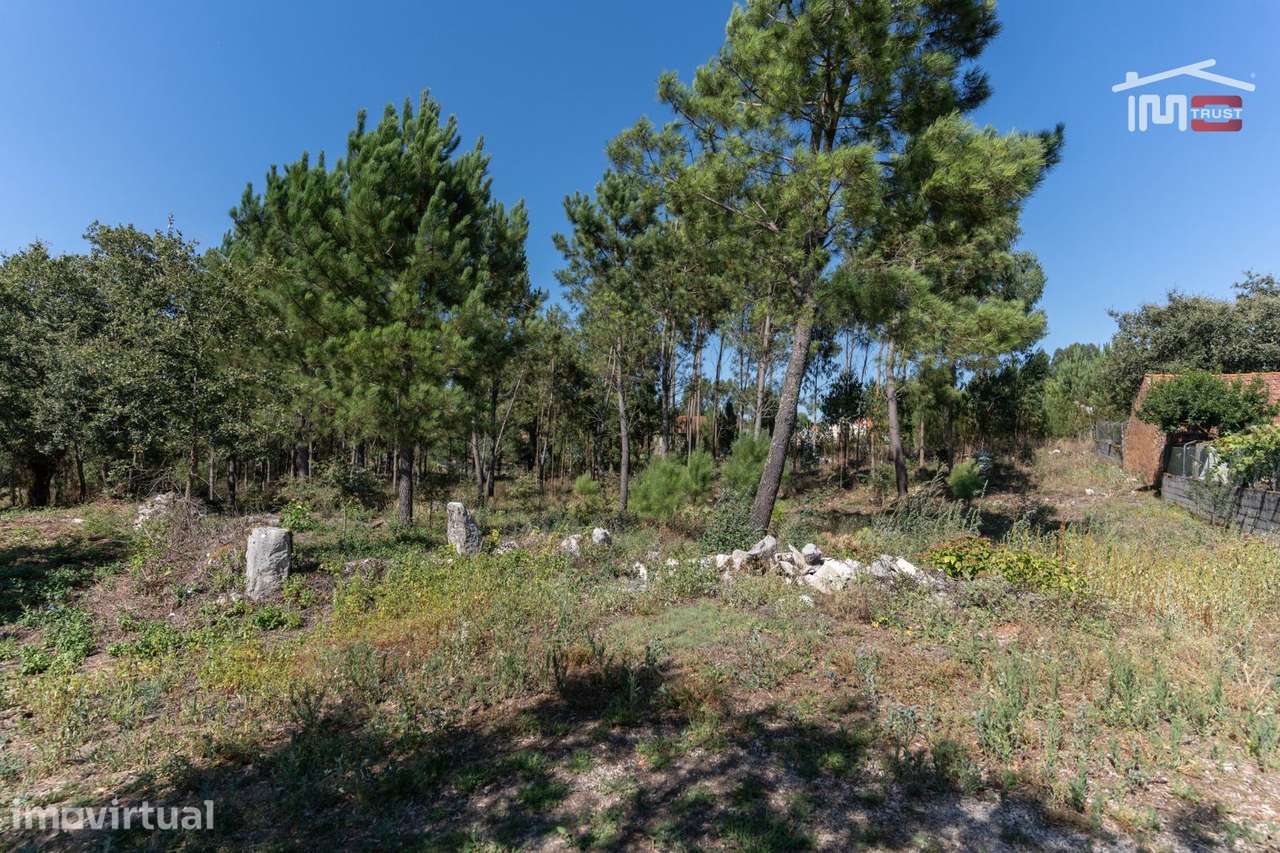 TERRENO COM AREA DE 3870 M2 UMA PARTE PARA CONSTRUÇÃO EM CASAL VELH... - Grande imagem: 3/9