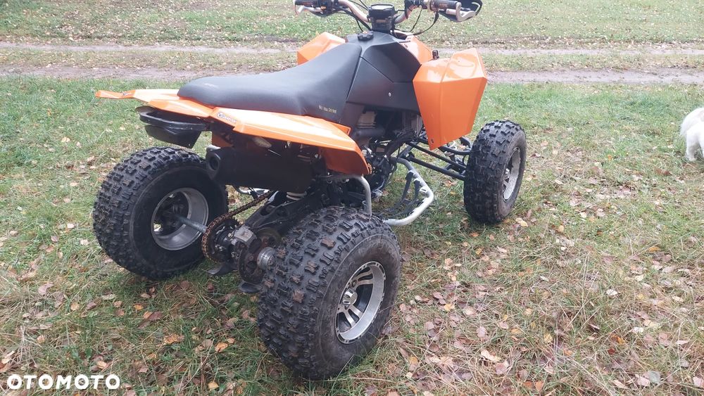 EGL Eglmotor Lyrx - 6