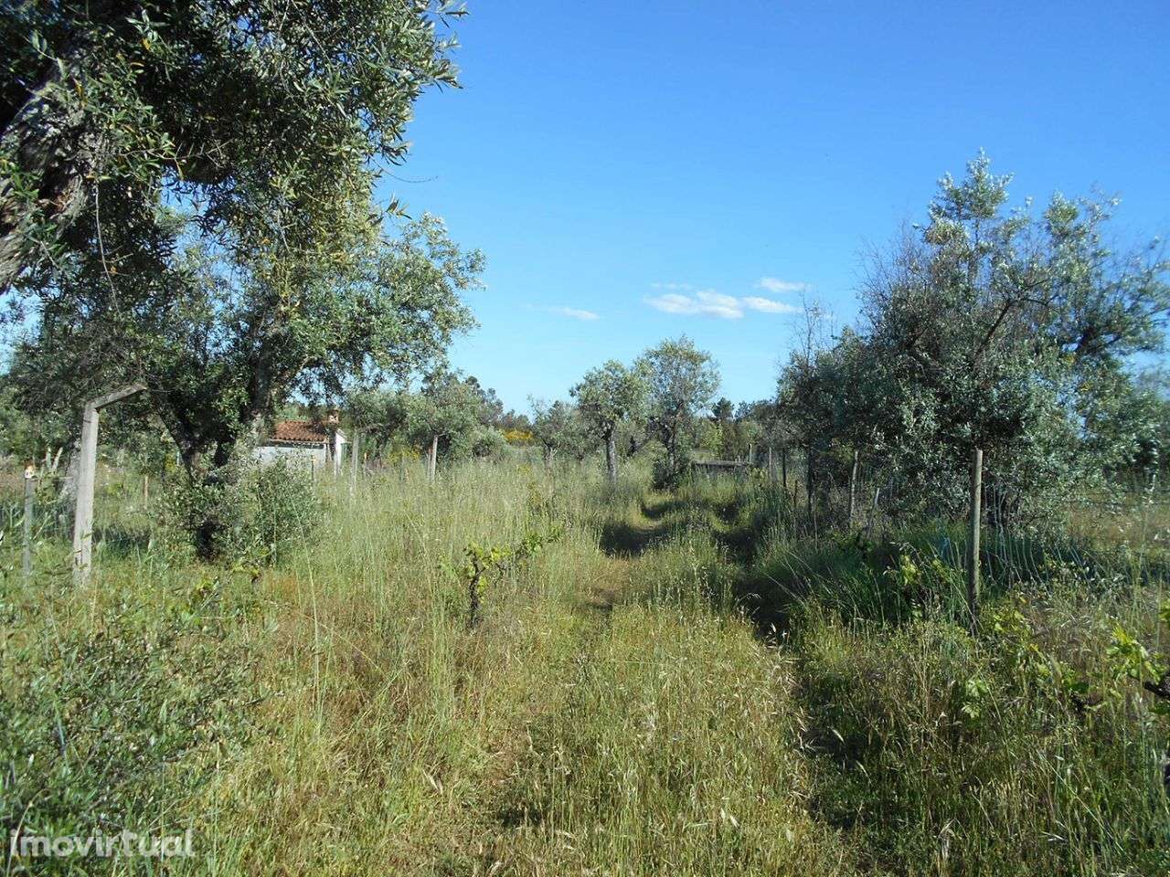 Quinta - Grande imagem: 3/9