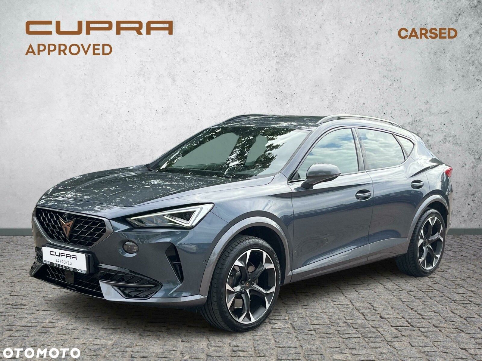 Cupra Formentor 2.0 TSI 4Drive VZ DSG - 1