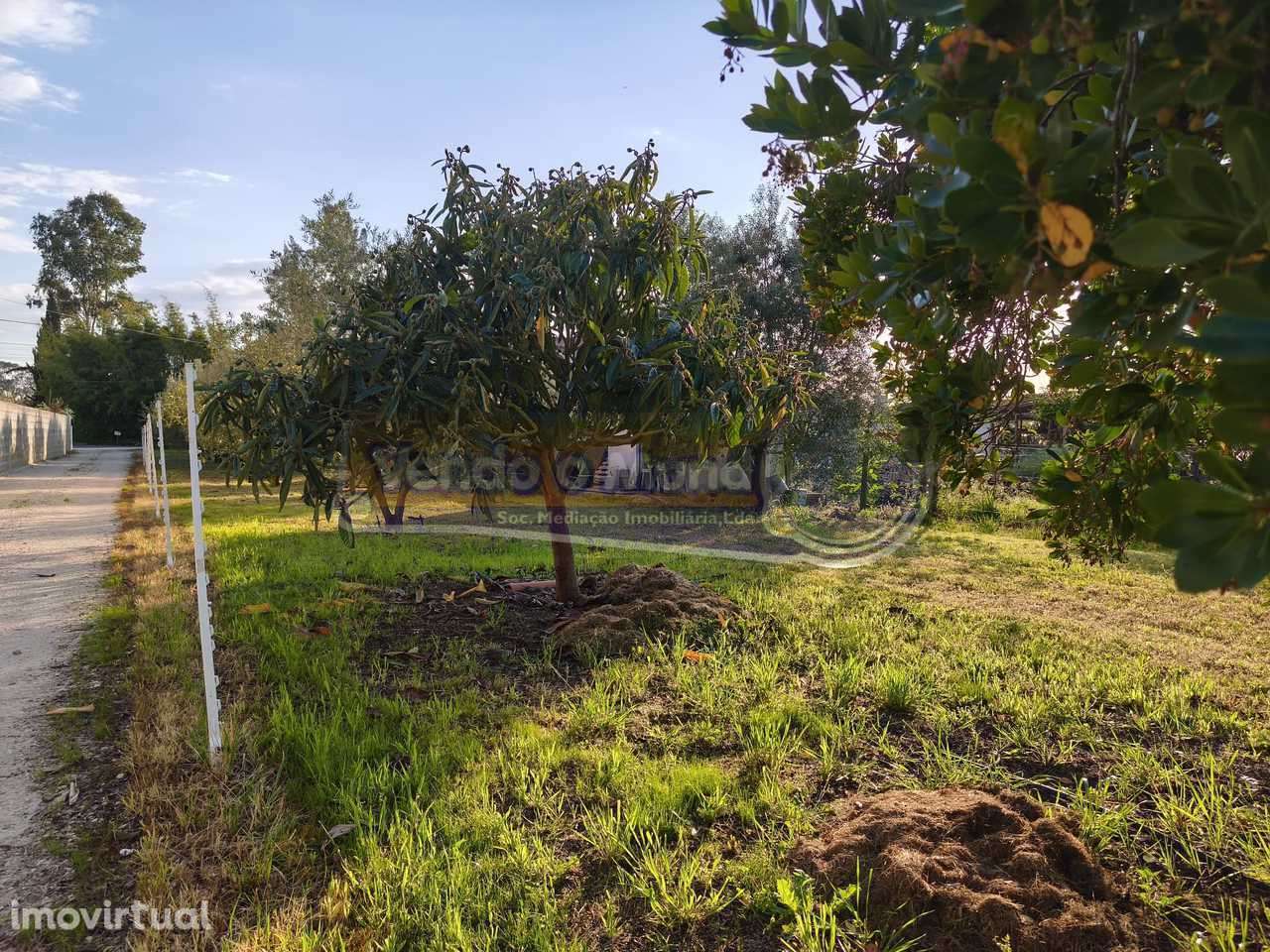 Terreno em Marinhais (M812) - Grande imagem: 3/7