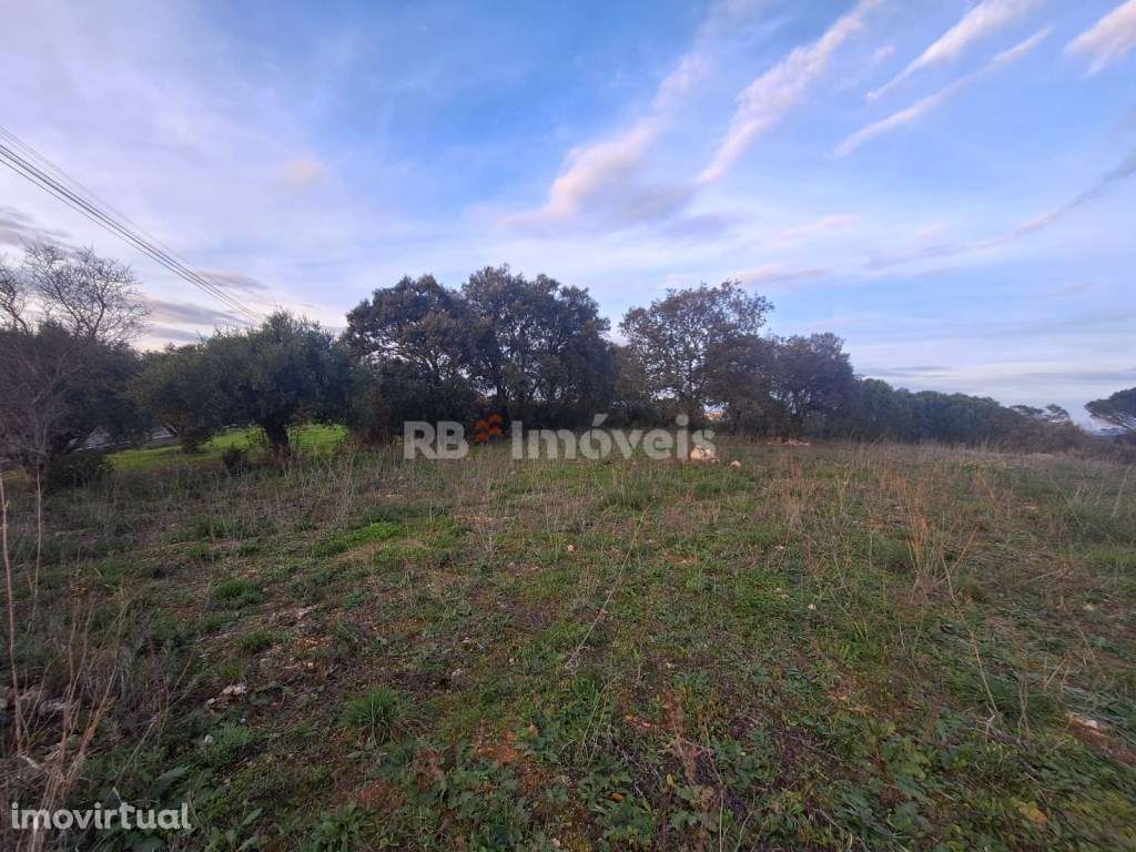 Terreno Urbano e Terreno Rústico - Outeiro Grande, Torres Novas - Grande imagem: 3/11