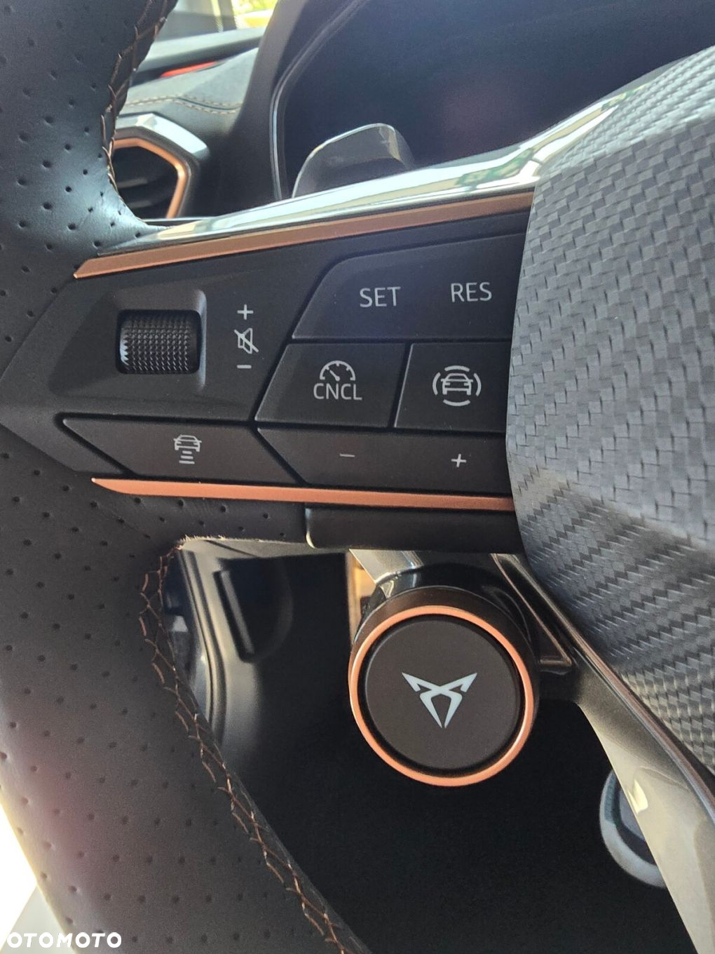 Cupra Formentor 1.5 eTSI mHEV DSG - 15