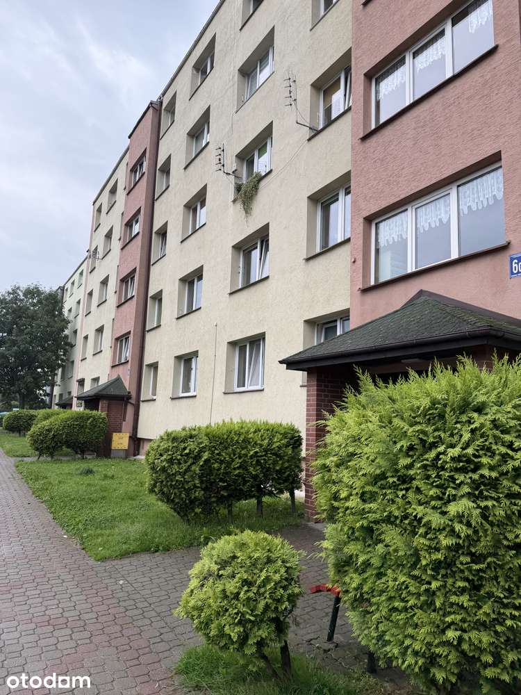 Mieszkanie na sprzedaż, 3 pokoje, 43 m², Świebodzice