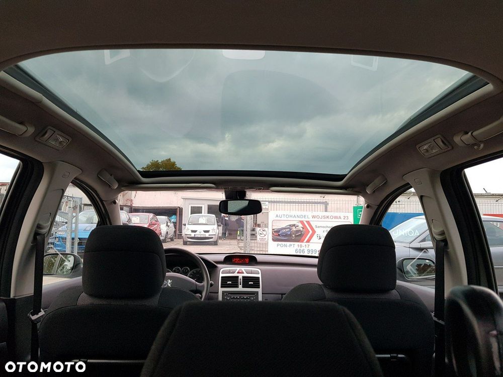 Peugeot 307 1.6 Premium - 15