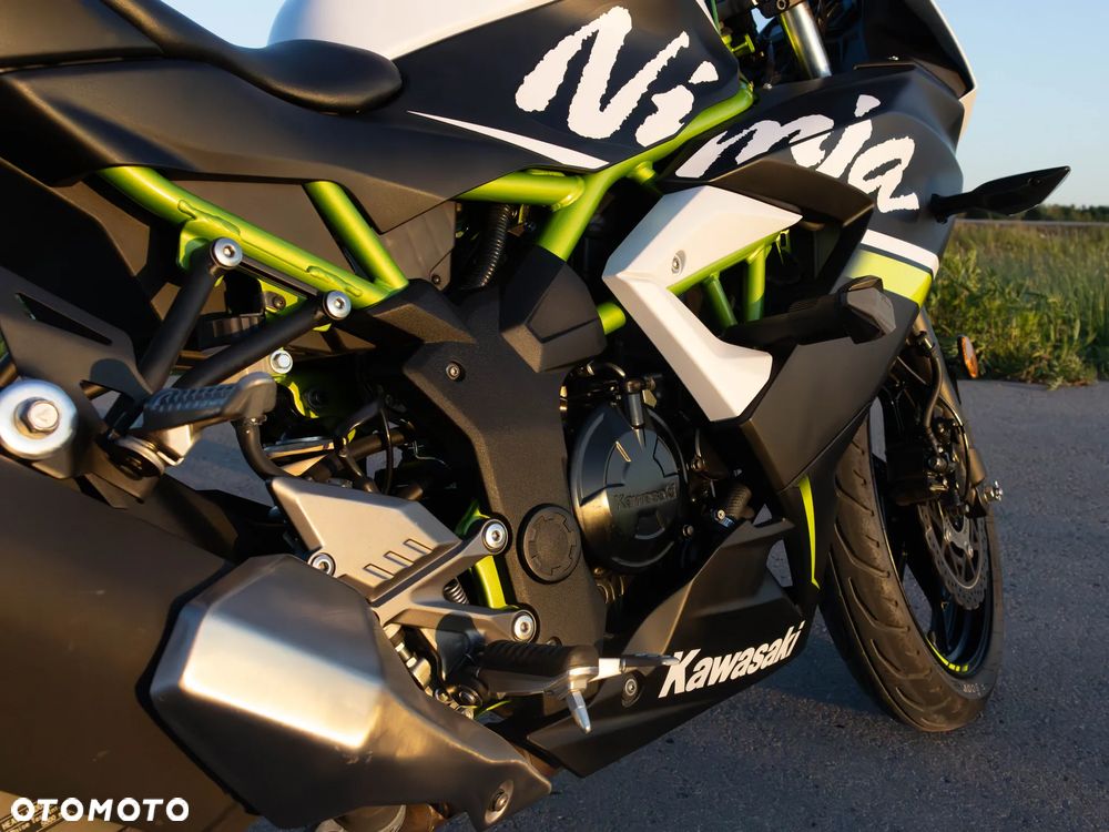 Kawasaki Ninja - 11