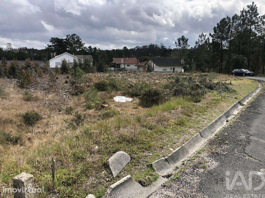 Terreno Agrícola em Marinha Grande - Grande imagem: 3/14