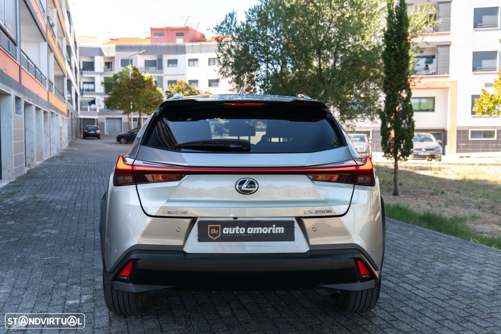 Lexus UX Special Edition (LCA) — fotografia 11