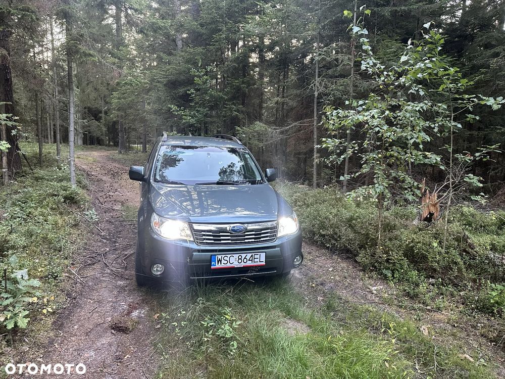 Subaru Forester - 1