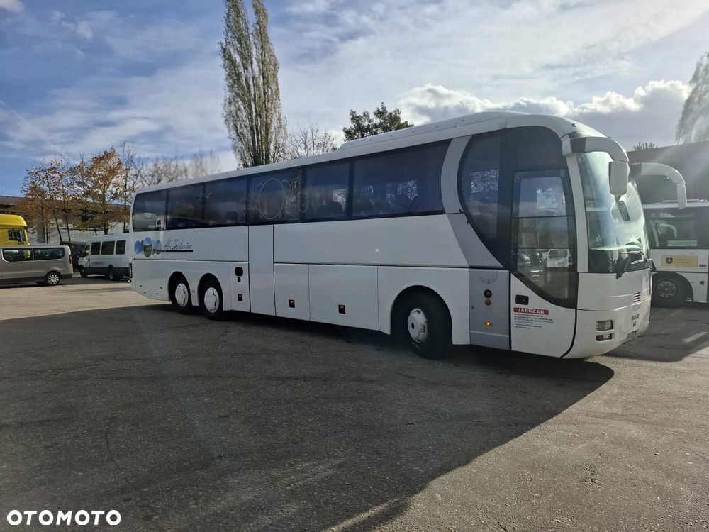 MAN LION'S COACH - 8